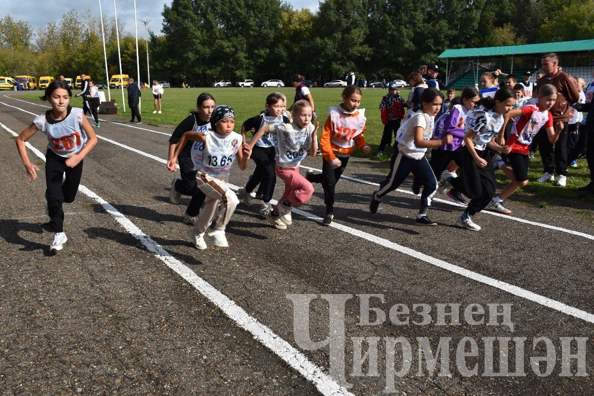 Чирмешәндә "Татарстан кроссы-2024" ярышларында 500дән күбрәк йөгерүче катнашты (ФОТОРЕПОРТАЖ)