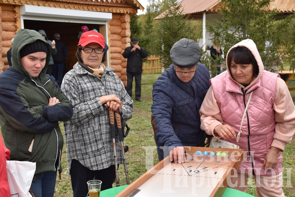 Чирмешәндә скандинавларча йөрүчеләрнең II район фестивале узды (ФОТОРЕПОРТАЖ)