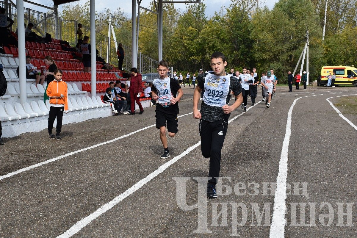 В Черемшане более 500 человек приняли участие в массовом забеге "Кросс Татарстана-2024"