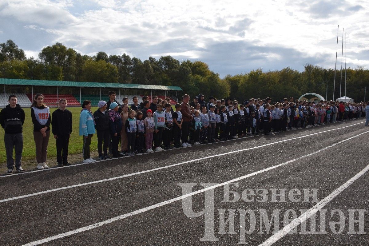 В Черемшане более 500 человек приняли участие в массовом забеге "Кросс Татарстана-2024"