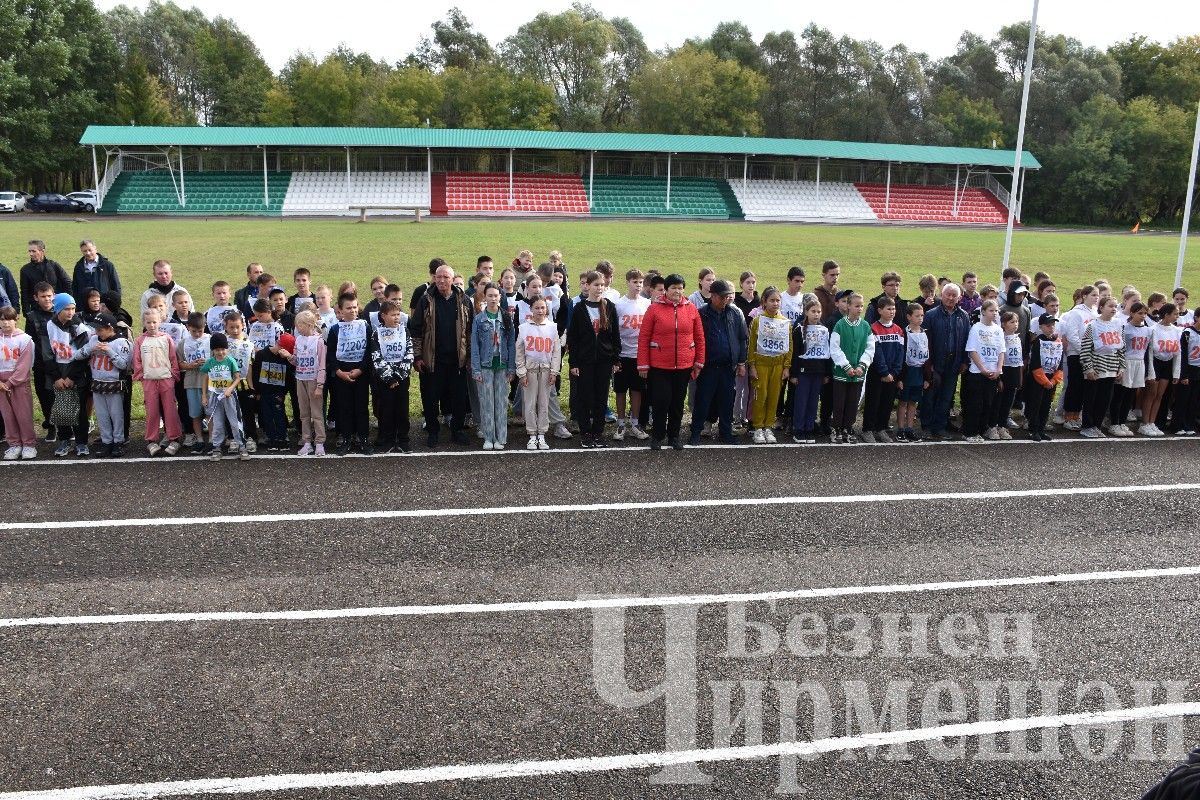 В Черемшане более 500 человек приняли участие в массовом забеге "Кросс Татарстана-2024"