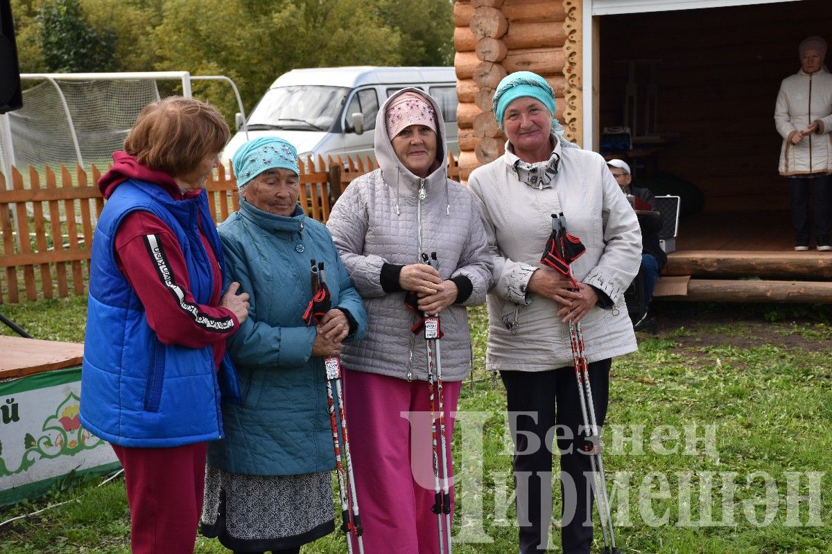 Чирмешәндә скандинавларча йөрүчеләрнең II район фестивале узды (ФОТОРЕПОРТАЖ)