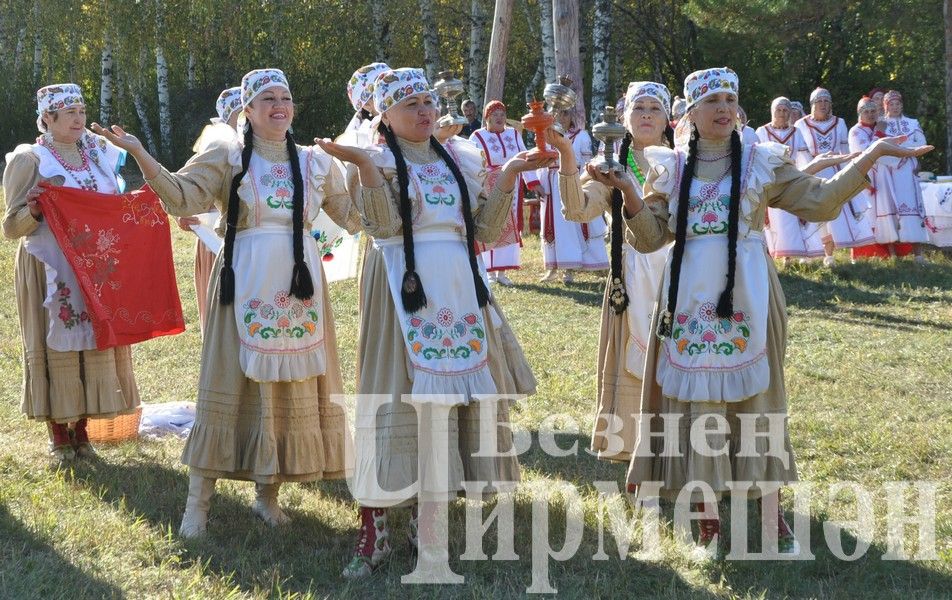 В Черемшане собрались историки  (ФОТОРЕПОРТАЖ)