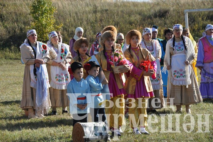 В Черемшане собрались историки  (ФОТОРЕПОРТАЖ)