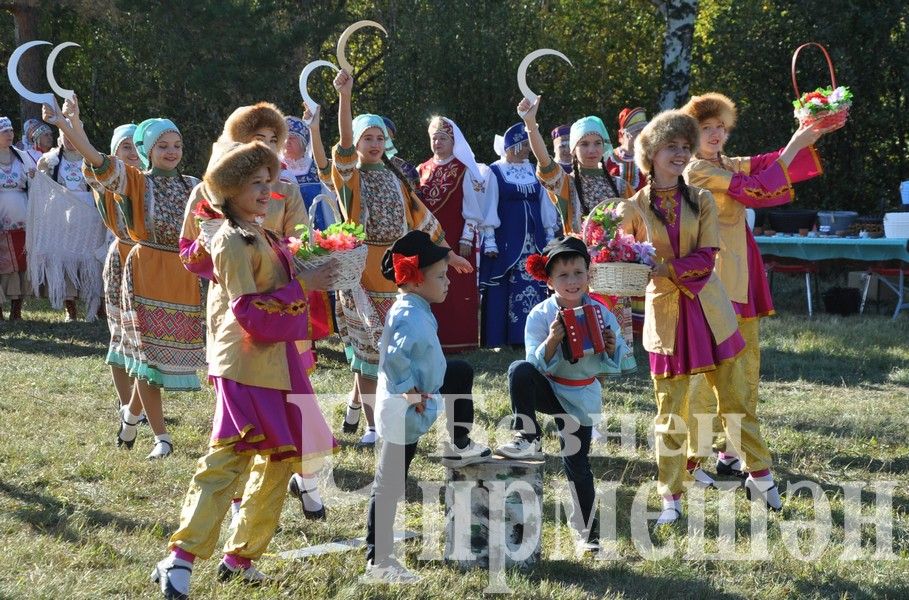 В Черемшане собрались историки  (ФОТОРЕПОРТАЖ)