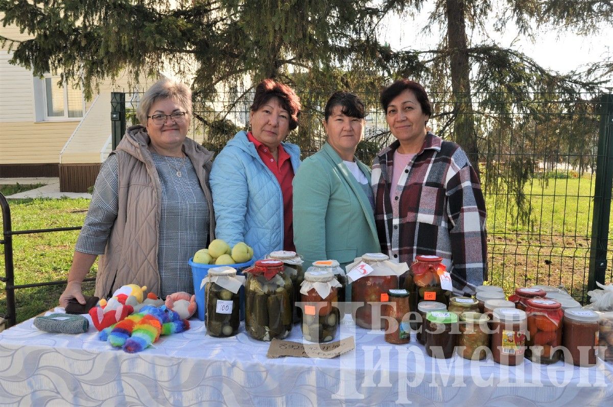 Фоторепортаж с избирательных участков Черемшанского района