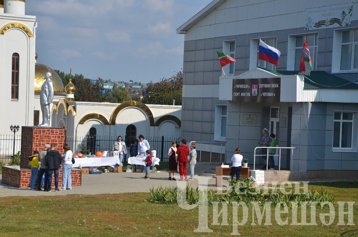 Фоторепортаж с избирательных участков Черемшанского района