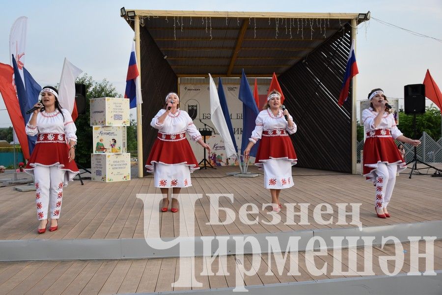 В Черемшане прошли торжественные мероприятия по случаю Дня России (ФОТОРЕПОРТАЖ)