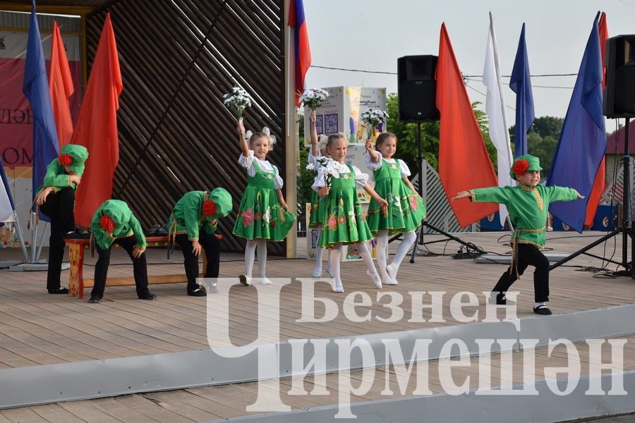 В Черемшане прошли торжественные мероприятия по случаю Дня России (ФОТОРЕПОРТАЖ)