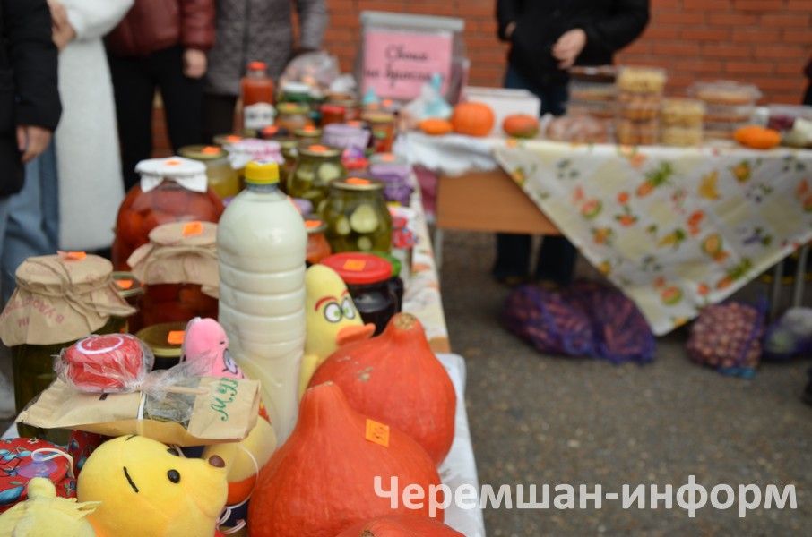 В Черемшане прошла очередная благотворительная ярмарка (ФОТОРЕПОРТАЖ)