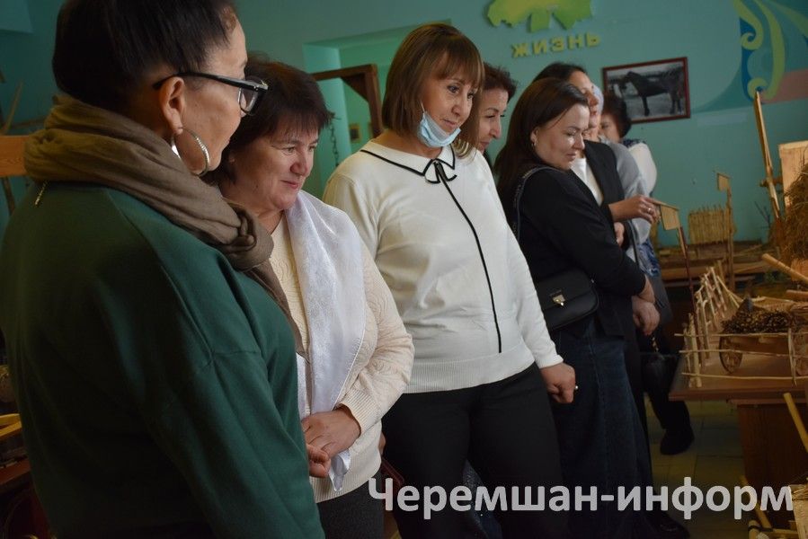 Работники культуры Черемшанского и Камышлинского районов встретились на «Мосту дружбы» (ФОТОРЕПОРТАЖ)