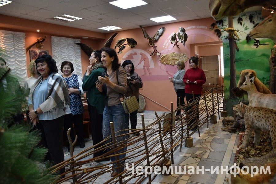 Работники культуры Черемшанского и Камышлинского районов встретились на «Мосту дружбы» (ФОТОРЕПОРТАЖ)