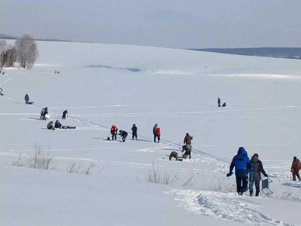 Чирмешәндә 79 балыкчы ярышты (ФОТОРЕПОРТАЖ)