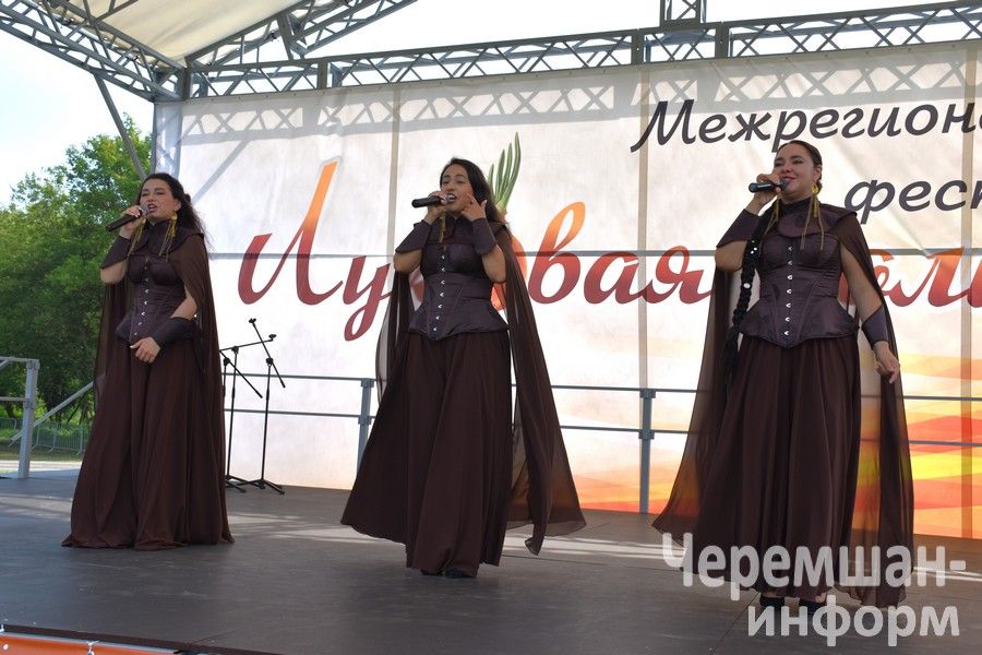 В Черемшане в четвертый раз прошел межрегиональный фестиваль "Луковая долина" (ФОТОРЕПОРТАЖ)