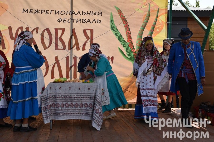 В Черемшане в четвертый раз прошел межрегиональный фестиваль "Луковая долина" (ФОТОРЕПОРТАЖ)