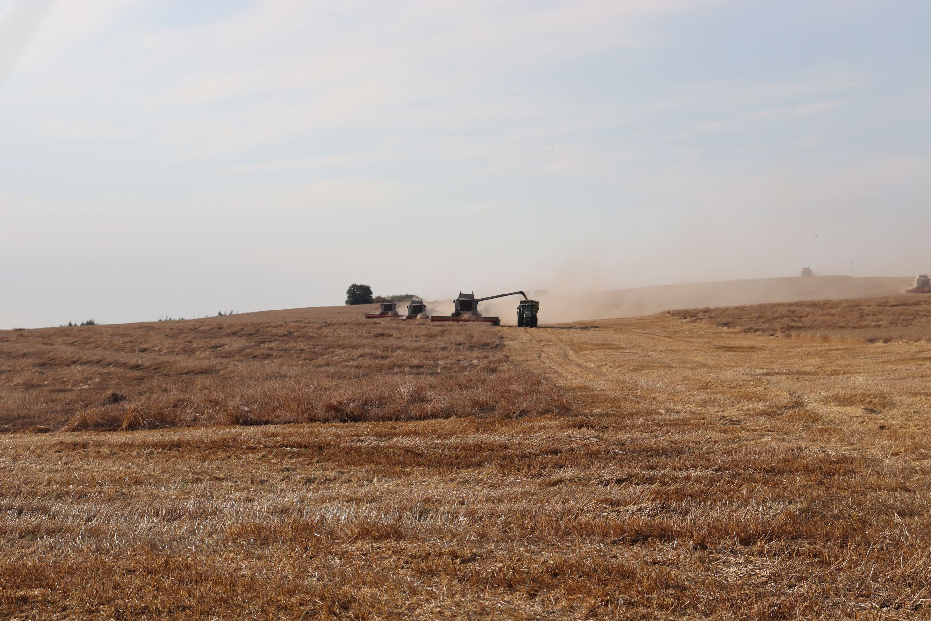 Чирмешәндә урак алдынгыларын бүләкләделәр (ФОТОРЕПОРТАЖ)