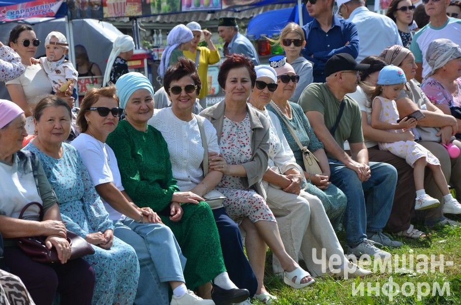 Туйметкинцы и в этом году встретились на Дне села (ФОТОРЕПОРТАЖ)