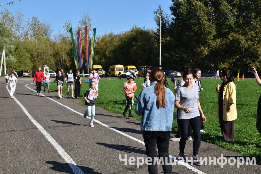 “Татарстан кроссы – 2026” Бөтенроссия йөгерү көнендә 590 чирмешәнле стартка басты