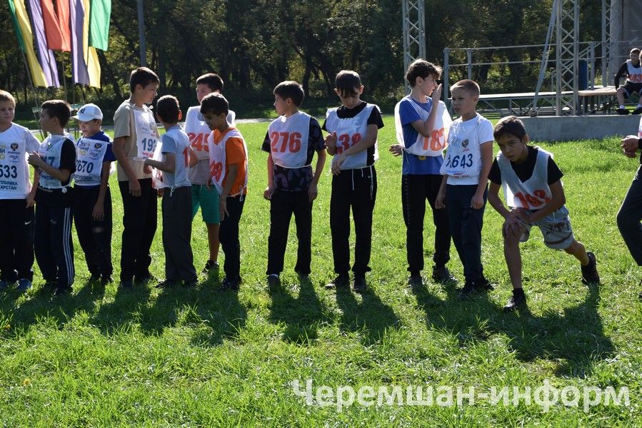 “Татарстан кроссы – 2026” Бөтенроссия йөгерү көнендә 590 чирмешәнле стартка басты