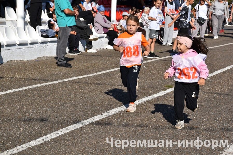 “Татарстан кроссы – 2026” Бөтенроссия йөгерү көнендә 590 чирмешәнле стартка басты