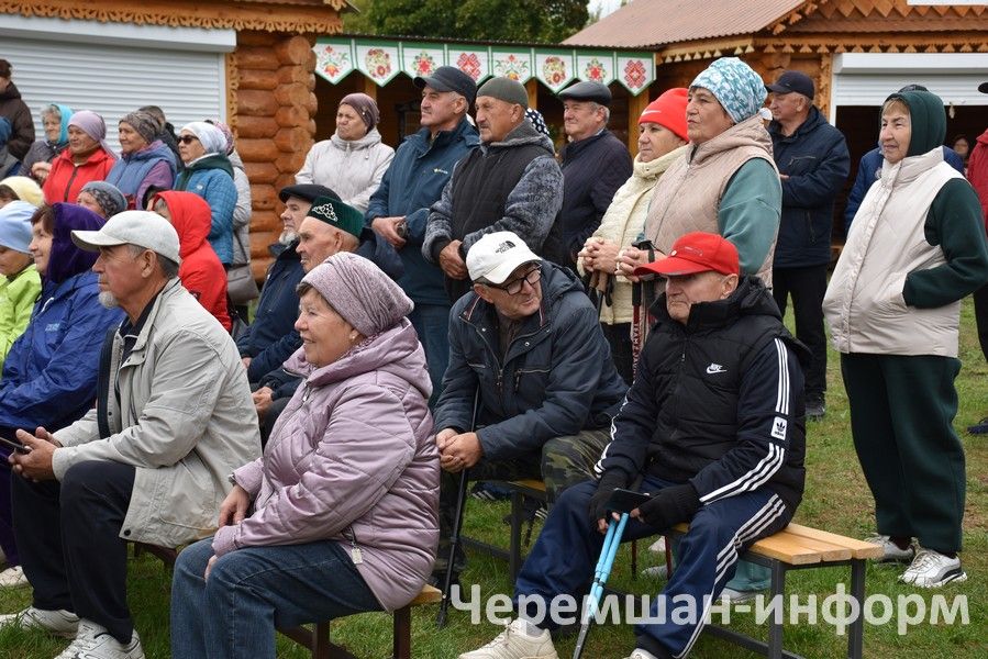 Чирмешәндә скандинавларча йөрүчеләрнең "Әйдә йөрергә!" IV район фестивале үтте