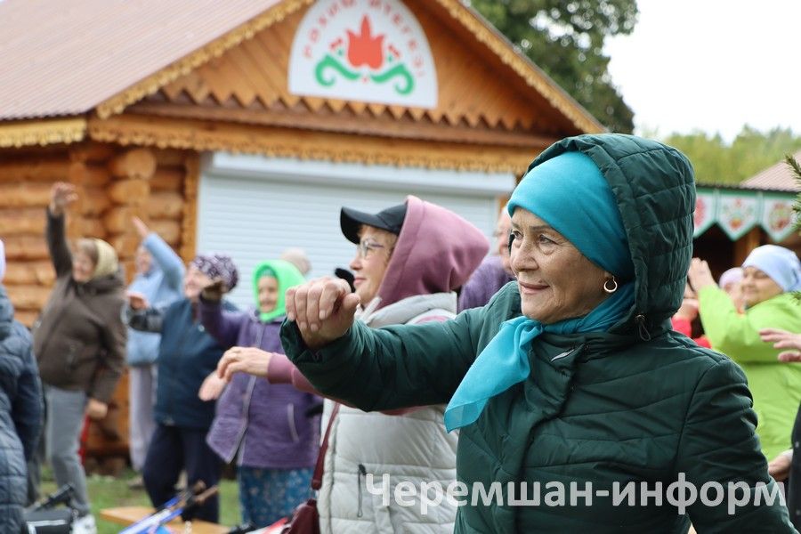 Чирмешәндә скандинавларча йөрүчеләрнең "Әйдә йөрергә!" IV район фестивале үтте