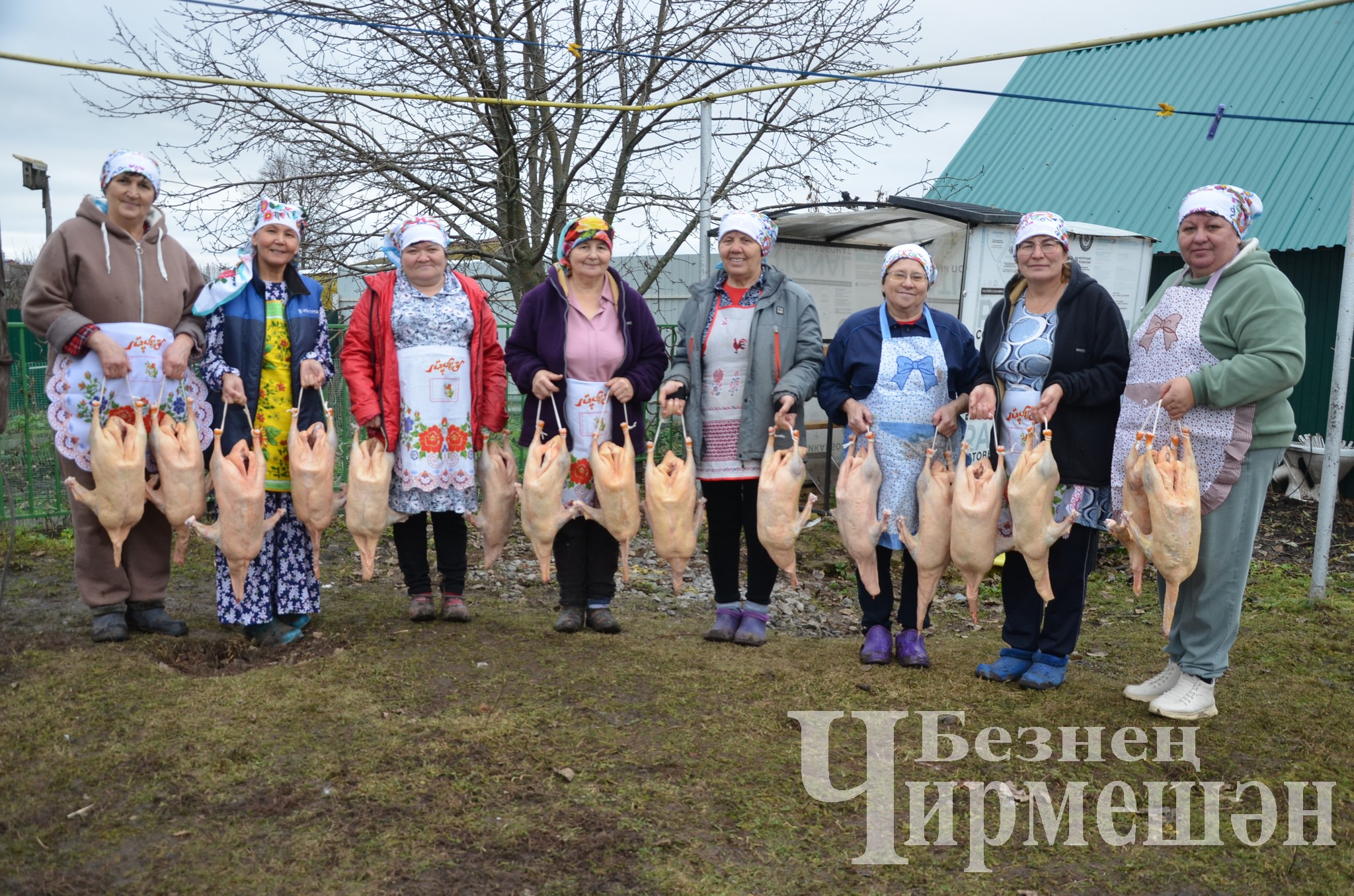 Иске Кади авылында каз өмәсе