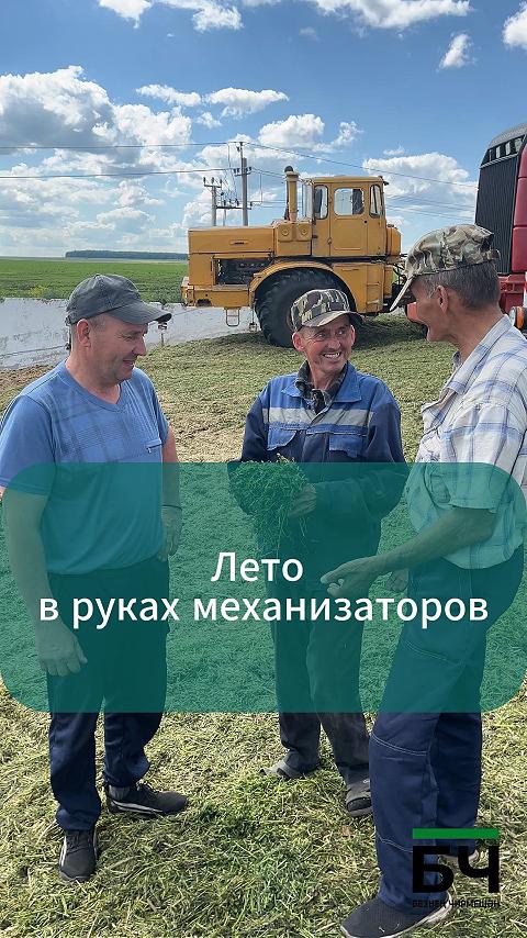 Чирмешән районында сенаж салуга керештеләр