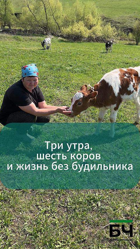 Наталья Евграфова