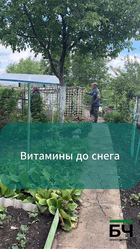 Лашманнан бакчачылар Рәсимә һәм Җанайдар Мукашевлар