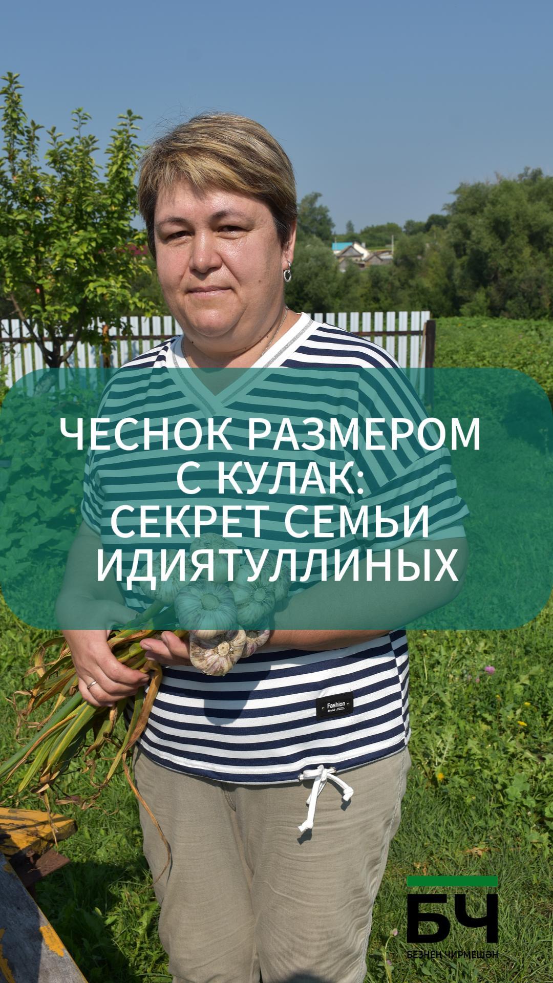 Идиятуллиннарның сарымсаклары һәрвакыт уңа