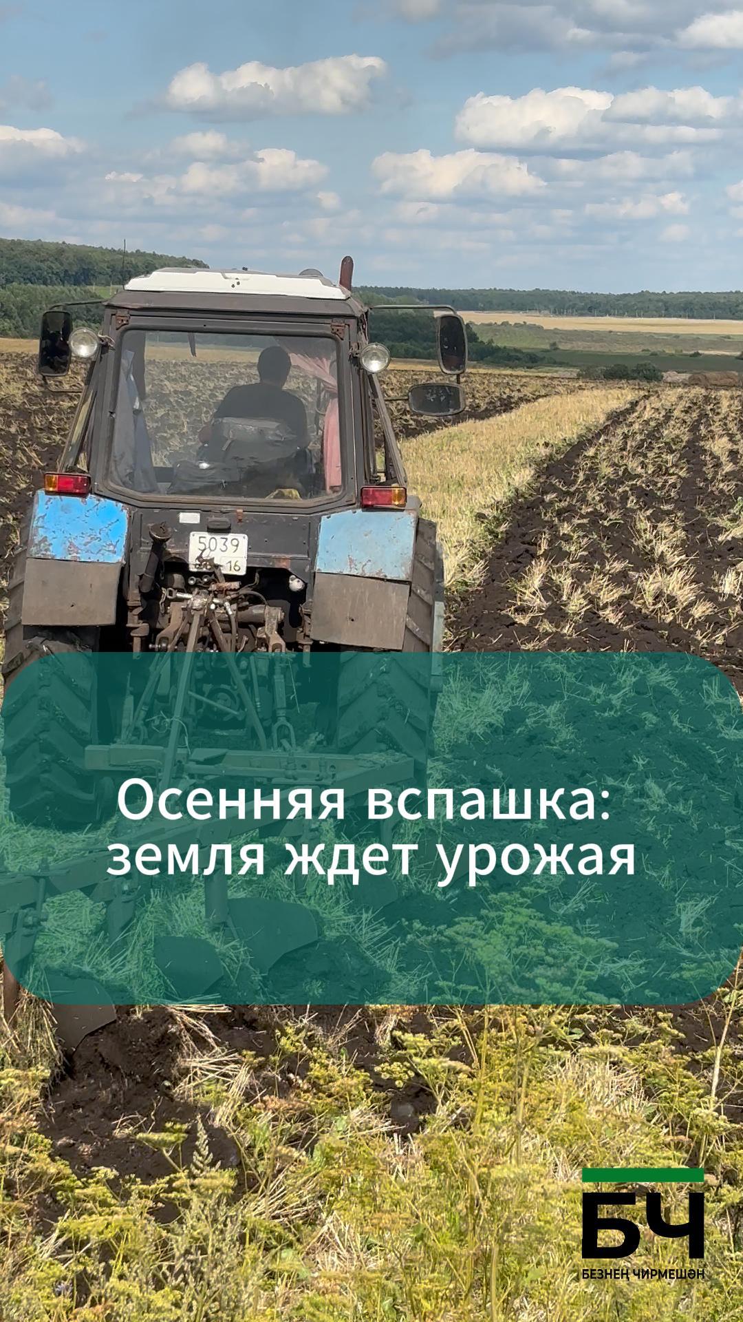 "Сөлчә" җәмгыятендә көзге сөрүгә чыкканнар