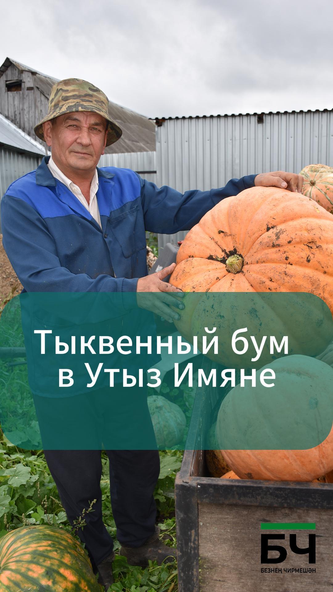 Утыз Имәннән Миннаковлар гаиләсе