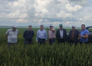 Министр Марат Җаббаров чирмешәнлеләр эшен уңай бәяләде