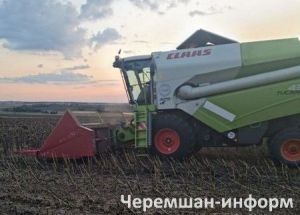 Чирмешән районында 800 тирәсе гектар мәйданнан көнбагыш суктырасы калды