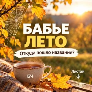 Бабье лето: откуда взялось это название и при чем тут змеи?