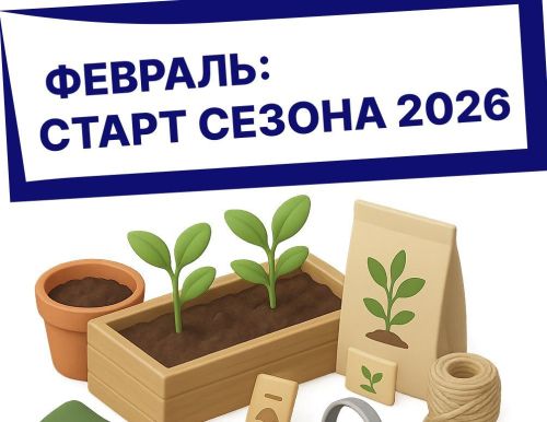 Февральский посевной: старт сезона 2026 (карточки)