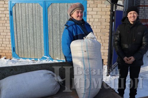 Чирмешәнле ветеран тавыкларны күбрәк асрамакчы
