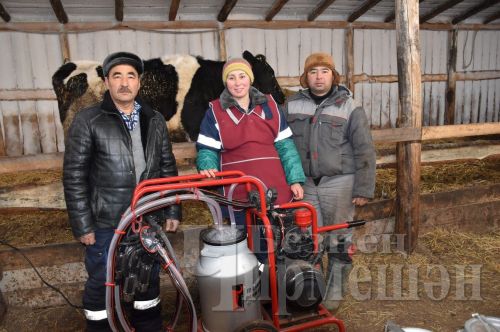 Чирмешәннән Карабаевлар гаиләсе мал асрарга да, умартачылыкка да вакыт таба