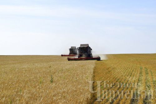 Минниханов поручил Минсельхозу усилить внимание к поддержке ЛПХ и подготовке кадров