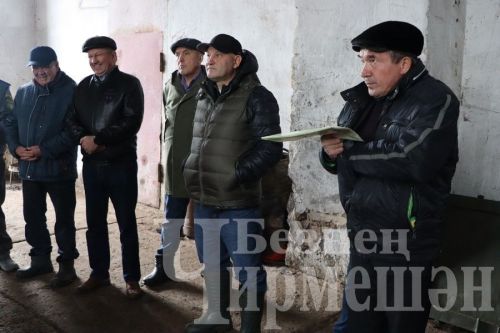 Опыт общества «Сульча» Черемшанского района изучают и другие