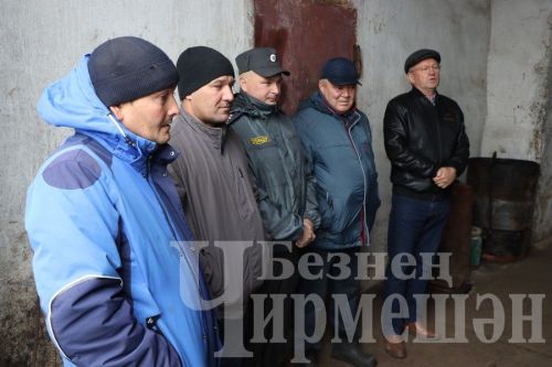 Опыт общества «Сульча» Черемшанского района изучают и другие
