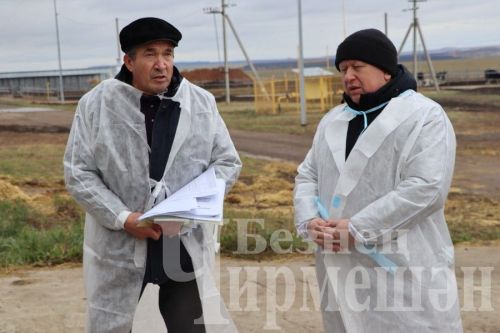 В обществе «Ильхан» одна корова приносит 300 тысяч рублей дохода в год