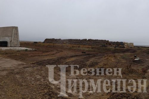 В обществе «Ильхан» одна корова приносит 300 тысяч рублей дохода в год