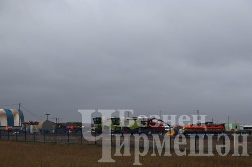В обществе «Ильхан» одна корова приносит 300 тысяч рублей дохода в год