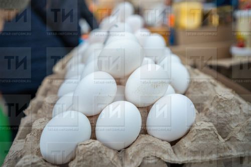 Туклыклы йомырка барысына да җиткән