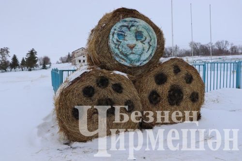 Чирмешәндә ишегалларын Яңа елга иң матур бизәүчеләрне бүләкләделәр