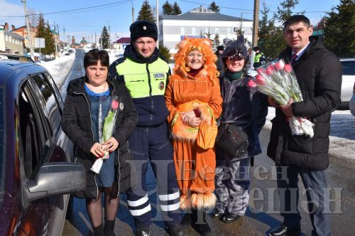 Чирмешән автоинспекторлары автоледиларны котладылар