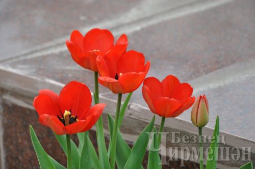 Киләсе атнада татарстанлыларны өстәмә ял көтә