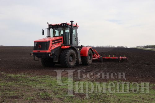 Чирмешән районы хуҗалыклары арпа, бодай, борчак чәчәләр